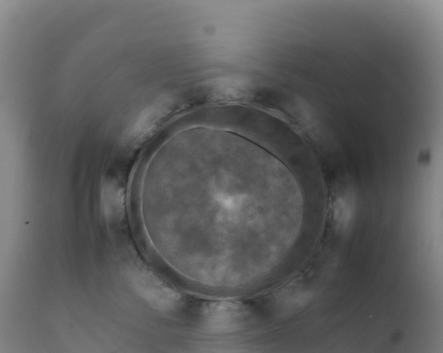 X0000112400716200908281751
