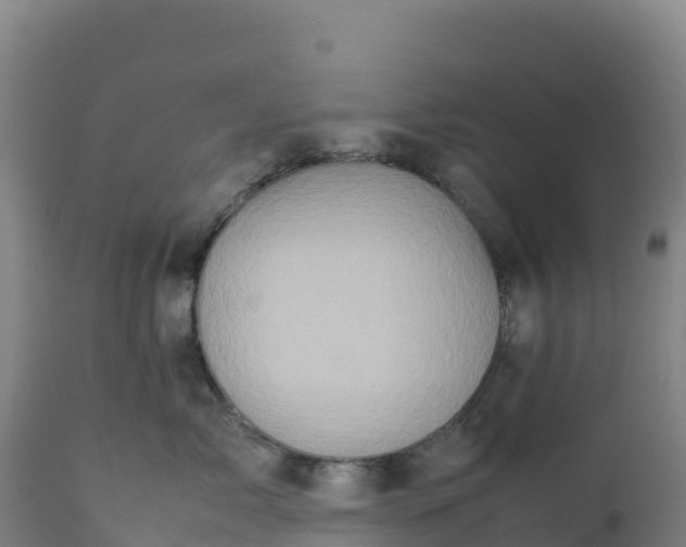 X0000112400717200908281751