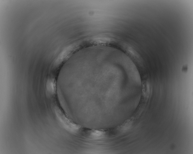 X0000112400718200908281751