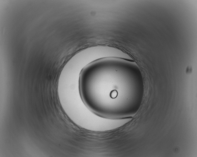 X0000112400720200908281750