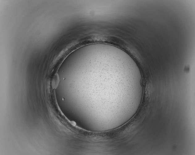 X0000112400722200908281750