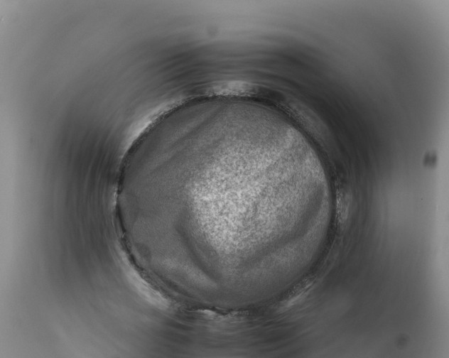 X0000112400725200908281750