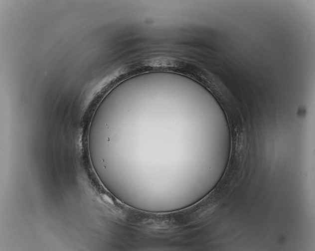 X0000112400727200908281750