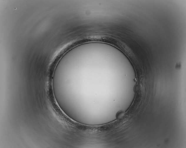 X0000112400728200908281750