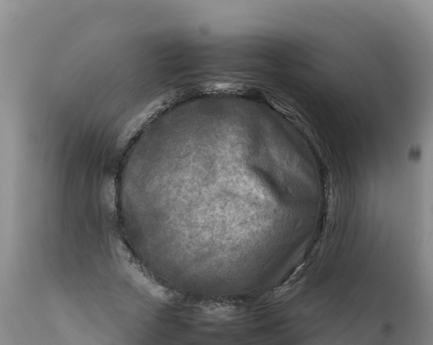 X0000112400729200908281750