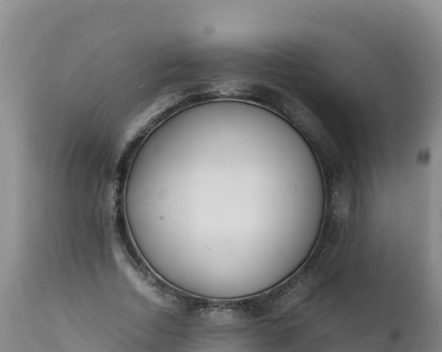 X0000112400730200908281750