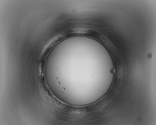 X0000112400731200908281750