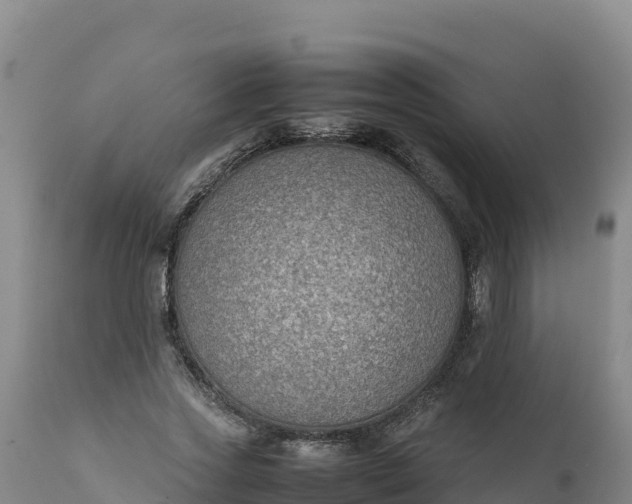 X0000112400733200908281750