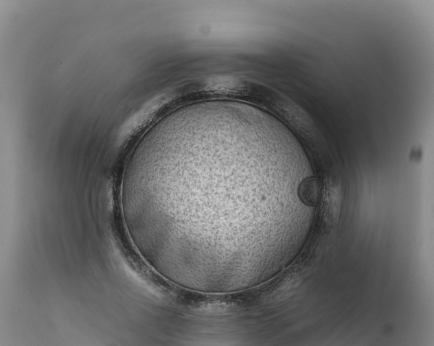 X0000112400734200908281750