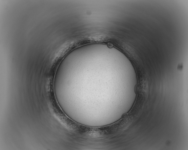 X0000112400738200908281750