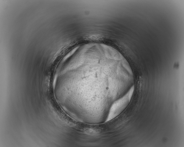 X0000112400739200908281750