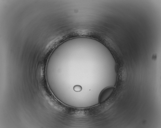 X0000112400740200908281750