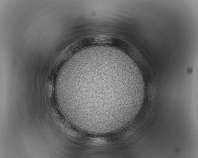 X0000112400741200908281750