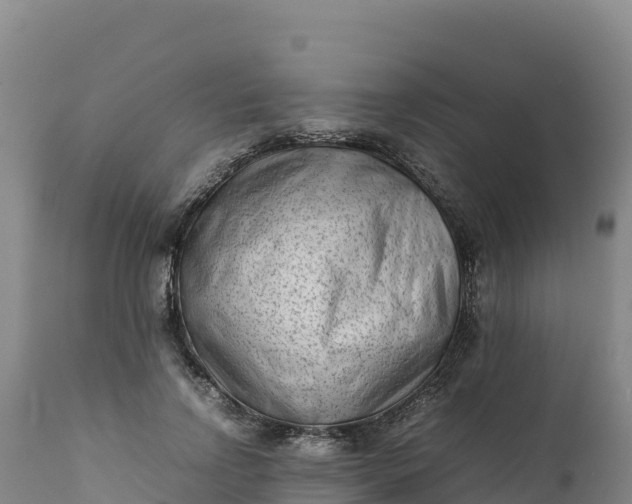 X0000112400742200908281750