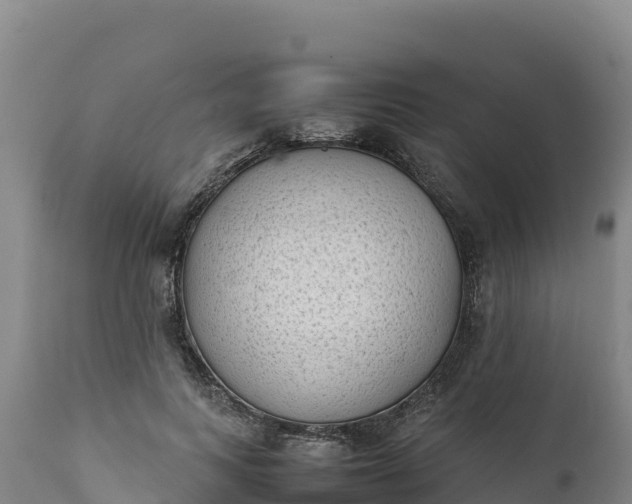 X0000112400743200908281750