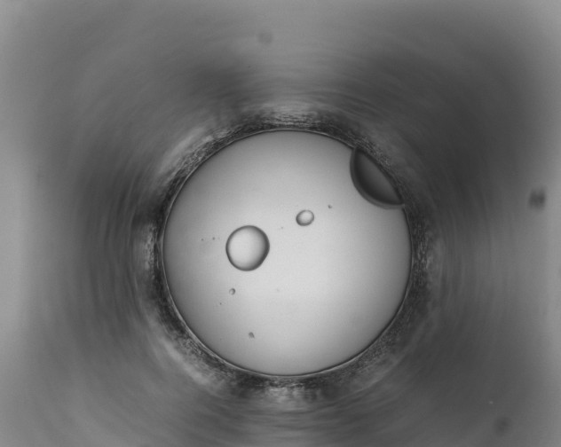 X0000112400744200908281750