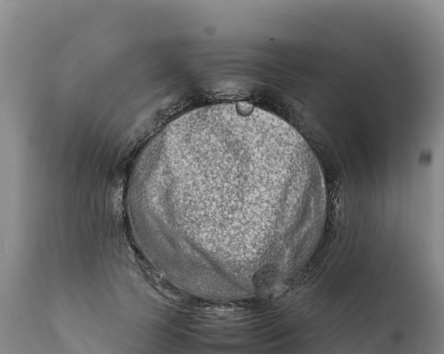 X0000112400745200908281750
