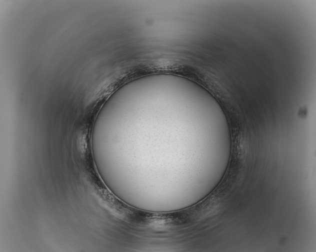 X0000112400746200908281750