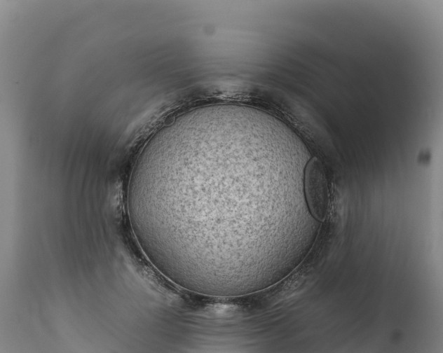 X0000112400748200908281750