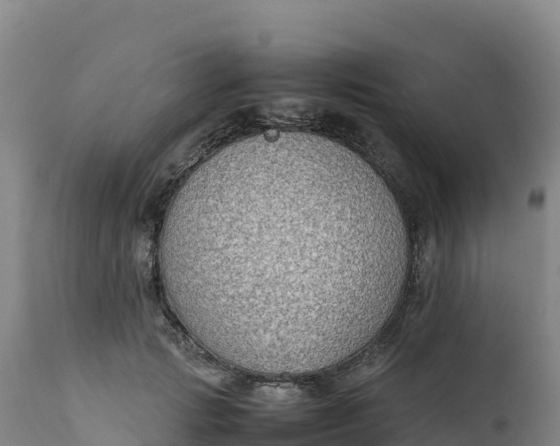 X0000112400749200908281750