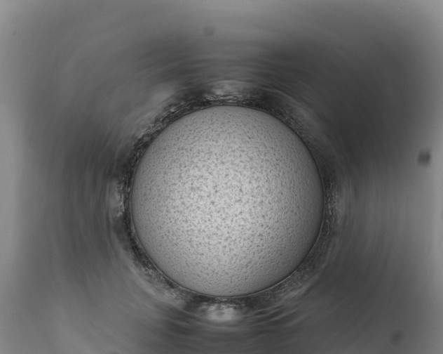 X0000112400751200908281750