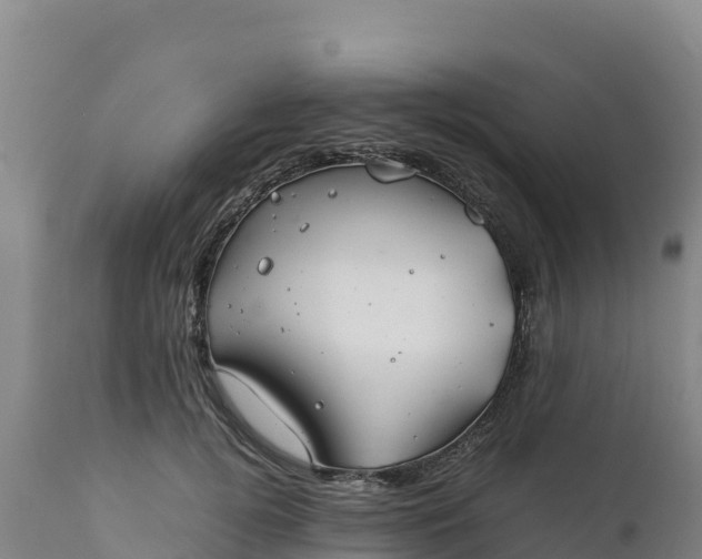 X0000112400752200908281750