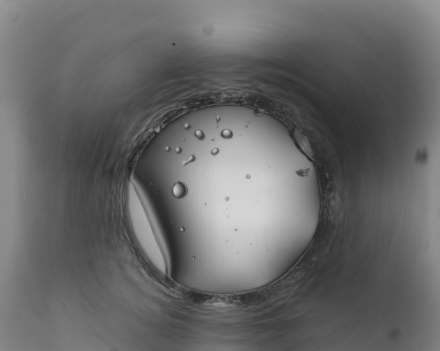 X0000112400756200908281750
