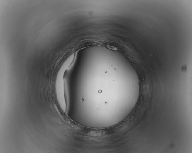X0000112400757200908281750