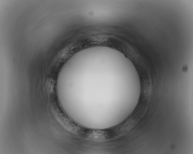 X0000112400758200908281750