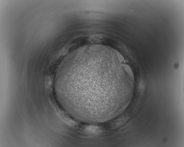 X0000112400759200908281750