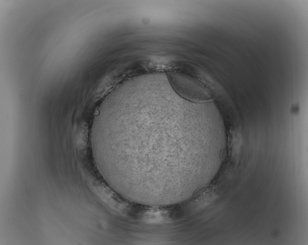 X0000112400760200908281750