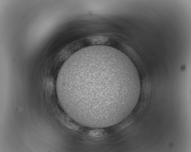 X0000112400761200908281750