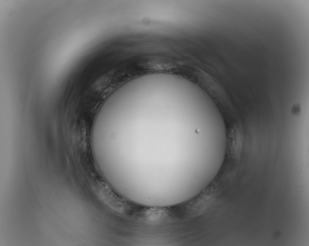 X0000112400762200908281750