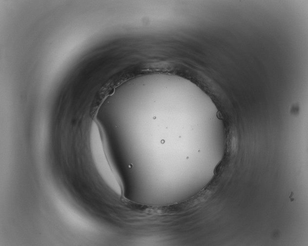 X0000112400764200908281750
