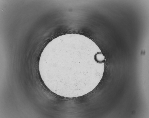 X0000112400769200908281750