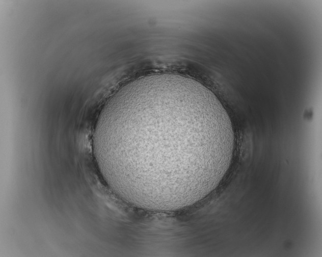 X0000112400770200908281750