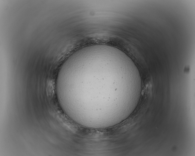 X0000112400772200908281750