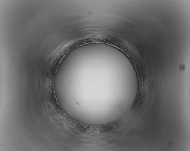 X0000112400773200908281750