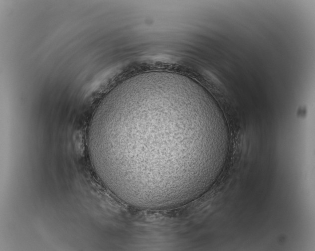 X0000112400774200908281750