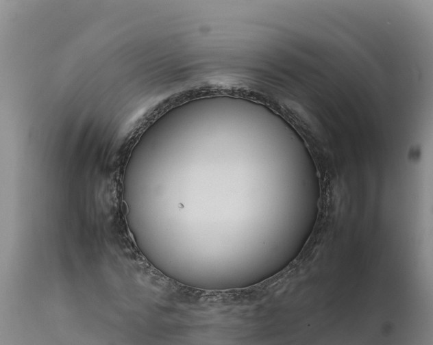 X0000112400776200908281750