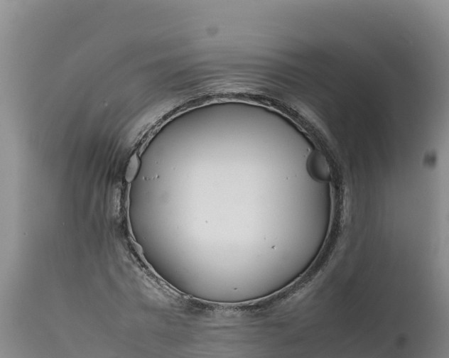 X0000112400777200908281750