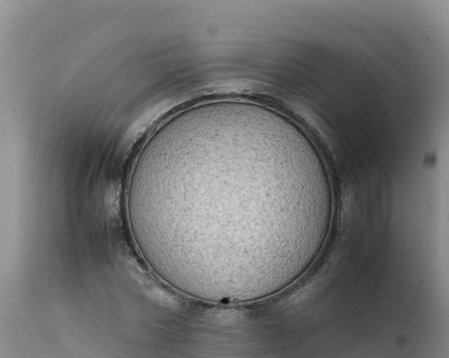 X0000112400778200908281750
