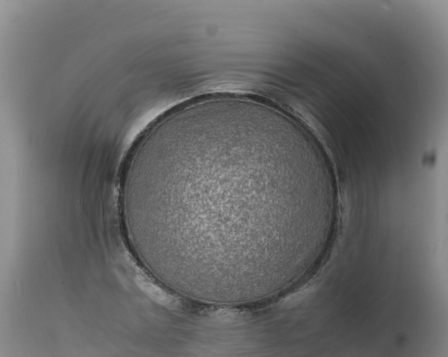 X0000112400779200908281750