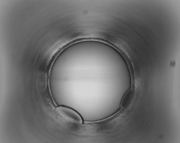 X0000112400781200908281750