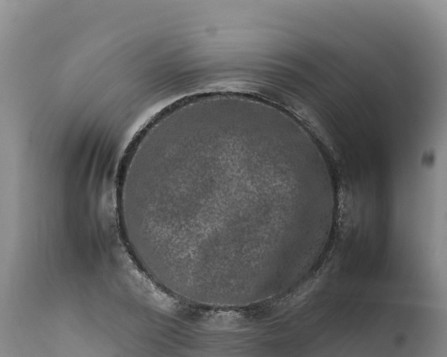 X0000112400784200908281749