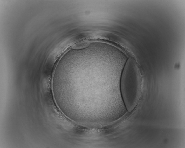 X0000112400785200908281749