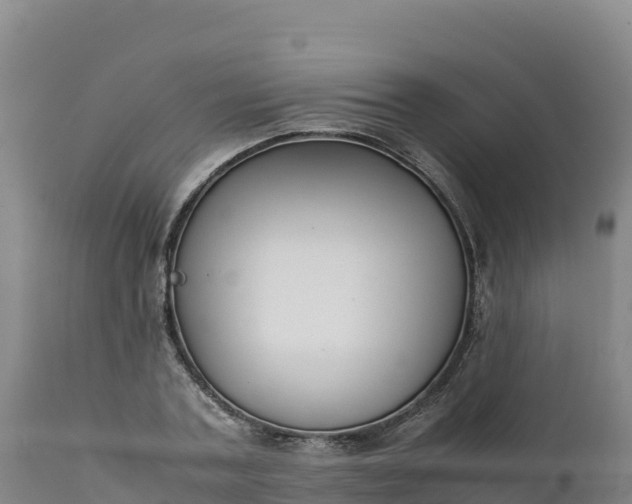 X0000112400787200908281749