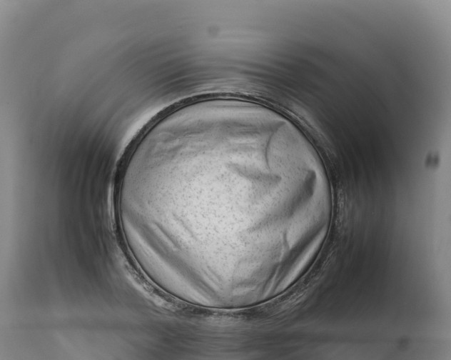 X0000112400788200908281749