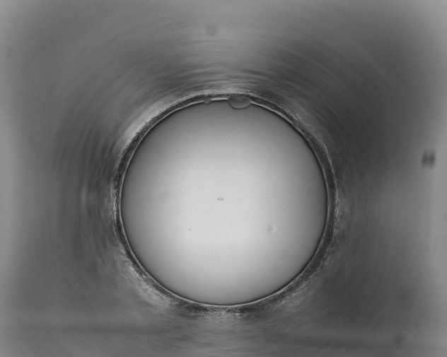 X0000112400789200908281749