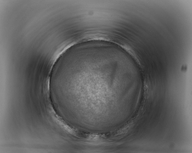 X0000112400790200908281749